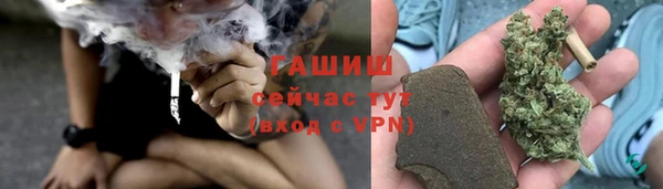 мдпв Бородино