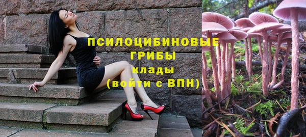 мдпв Бородино