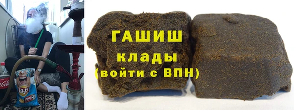 мдпв Бородино