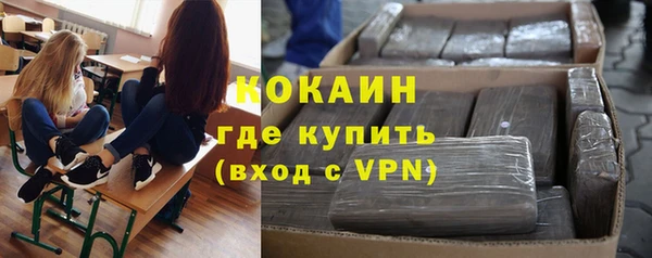 мдпв Бородино