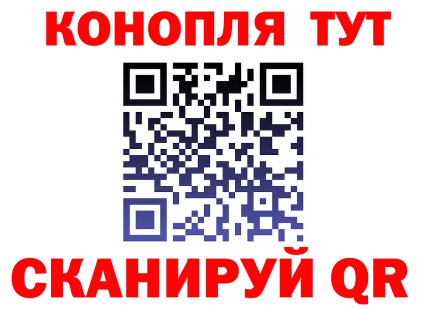 МЕФ 4 MMC ONION площадка мега Назарово